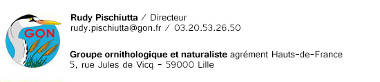 Rudy Pischiutta - Directeur / GON - 5, rue Jules de Vicq - 59000 Lille