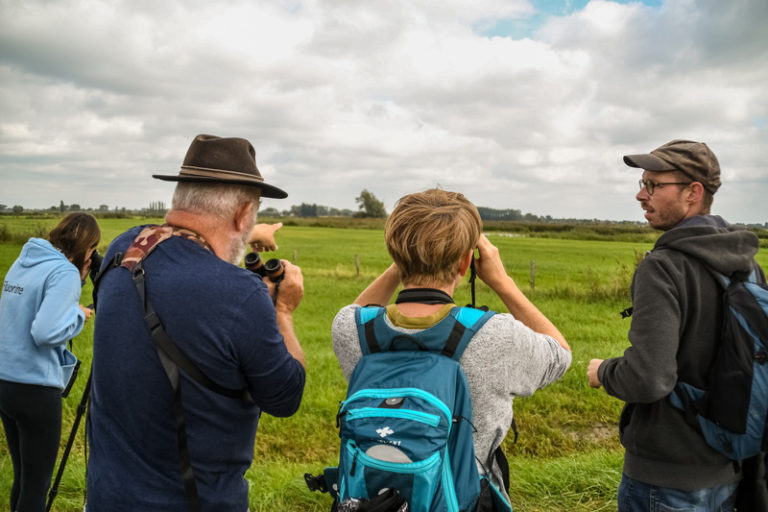 Formation Groupe Ornithologique Et Naturaliste Agrément Régional Hauts De France 