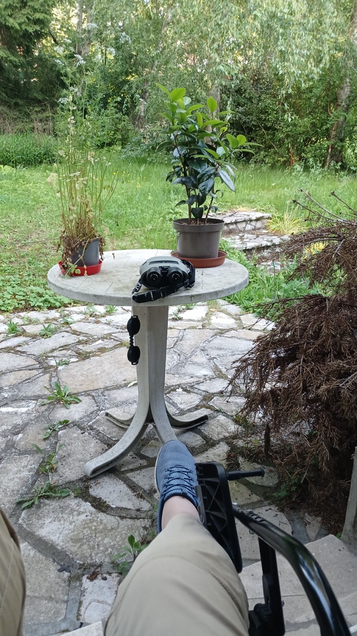 Faunathlon 2026 — observation au jardin