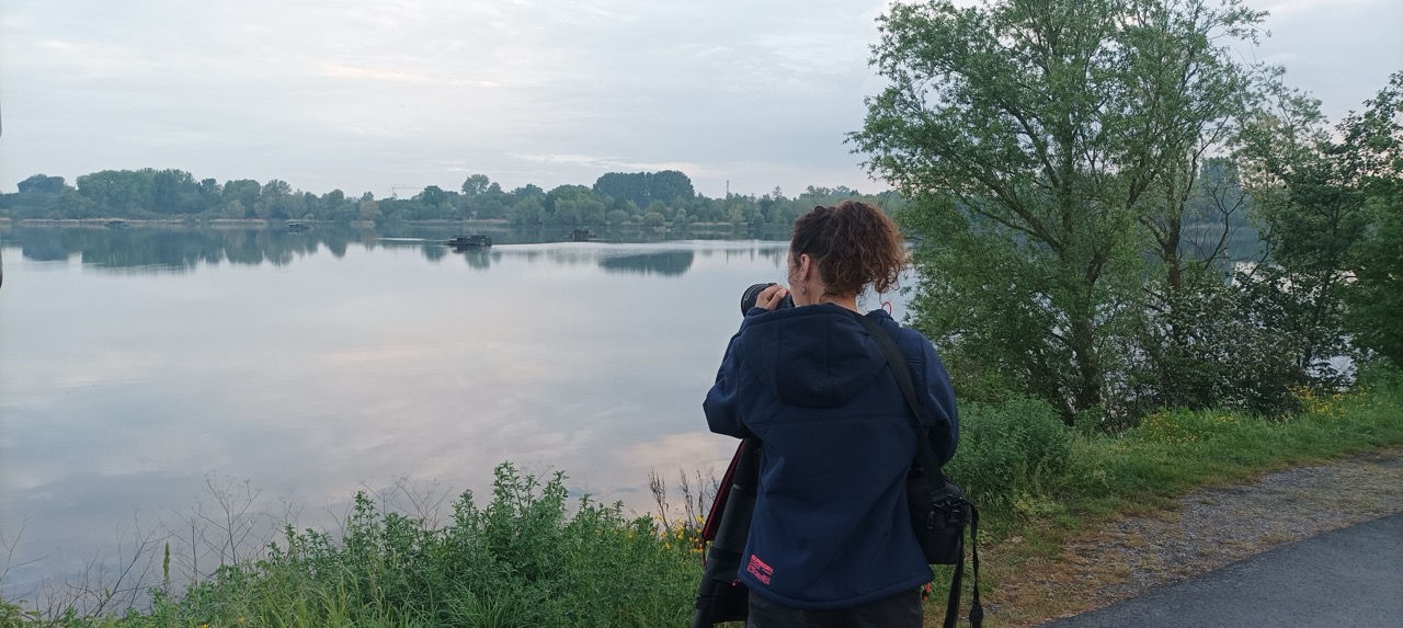 Faunathlon 2026 — prospection au petit matin