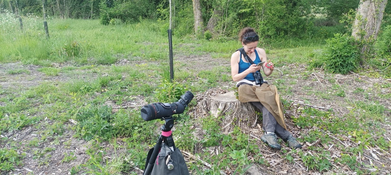Faunathlon 2026 — sur le terrain
