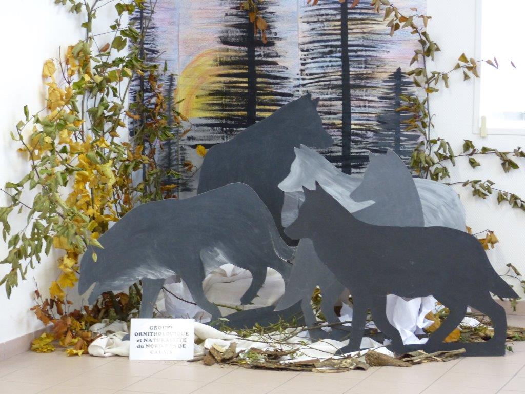 Meute de cinq loups grandeur nature présentée dans l'exposition
