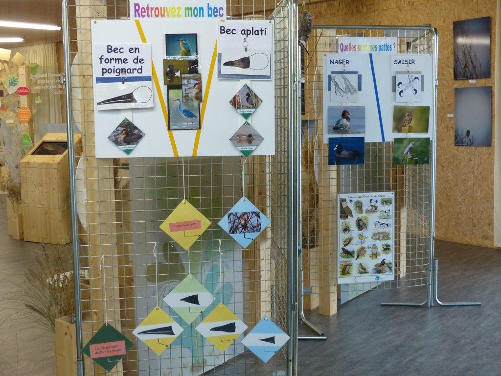Panneau de l'exposition présentant la diversité des becs d'oiseaux